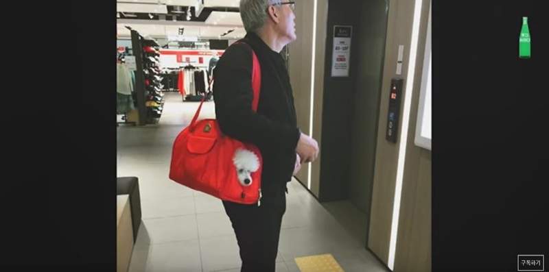 圖片6 圖片6