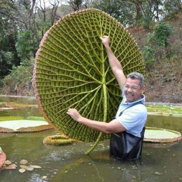 圖片16 圖片16