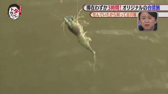 圖片44 圖片44