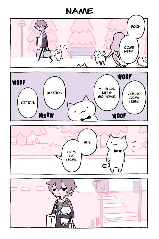 圖片19 圖片19