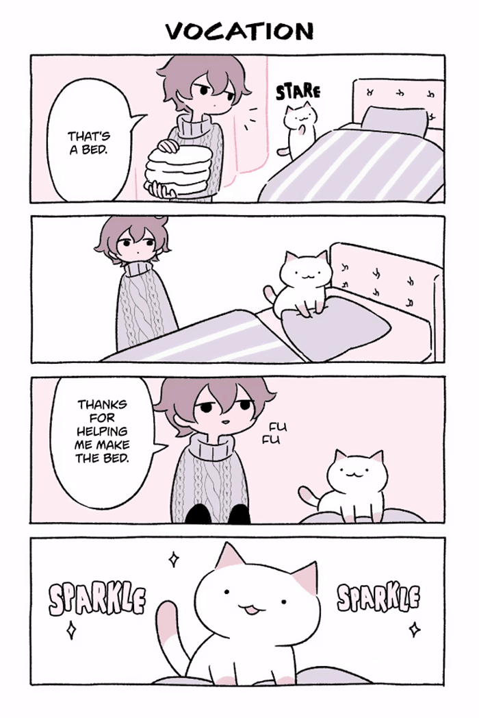 圖片13 圖片13
