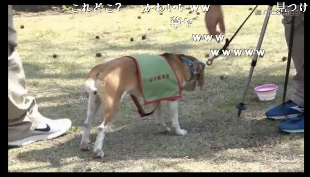 圖片11 圖片11