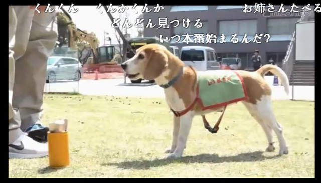 圖片13 圖片13
