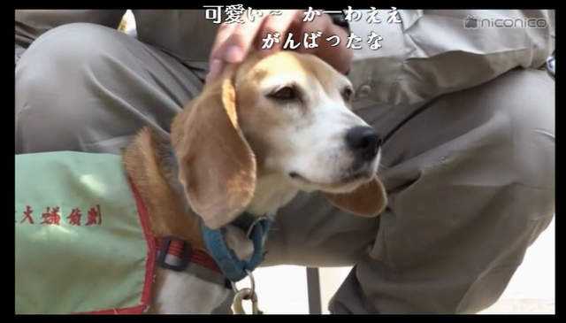 圖片15 圖片15