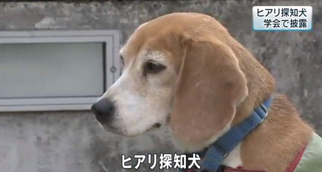 圖片7 圖片7