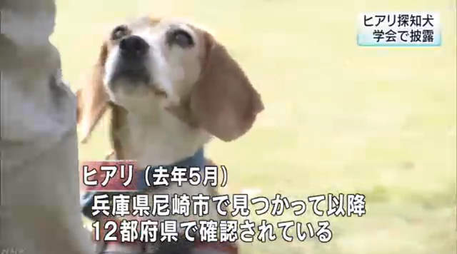 圖片9 圖片9