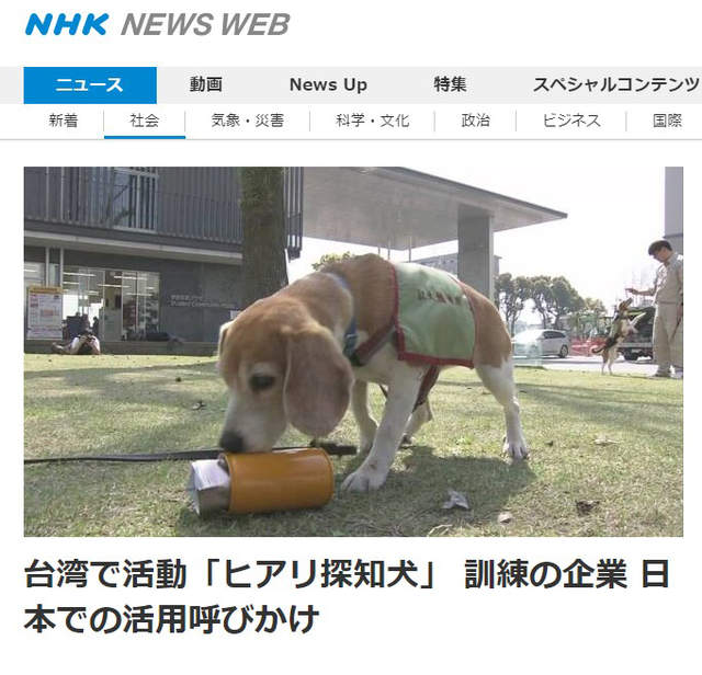 圖片4 圖片4