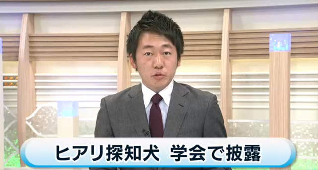 圖片5 圖片5