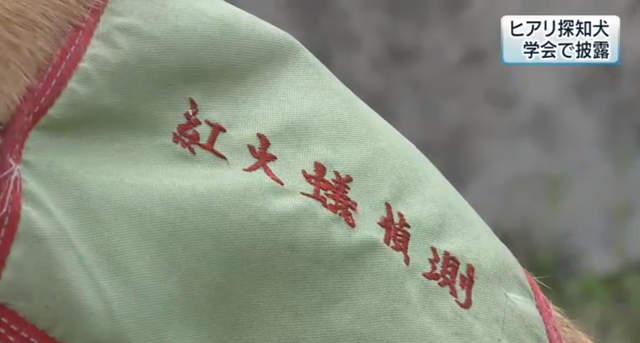 圖片6 圖片6