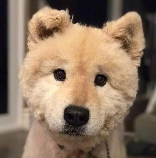 圖片5 圖片5