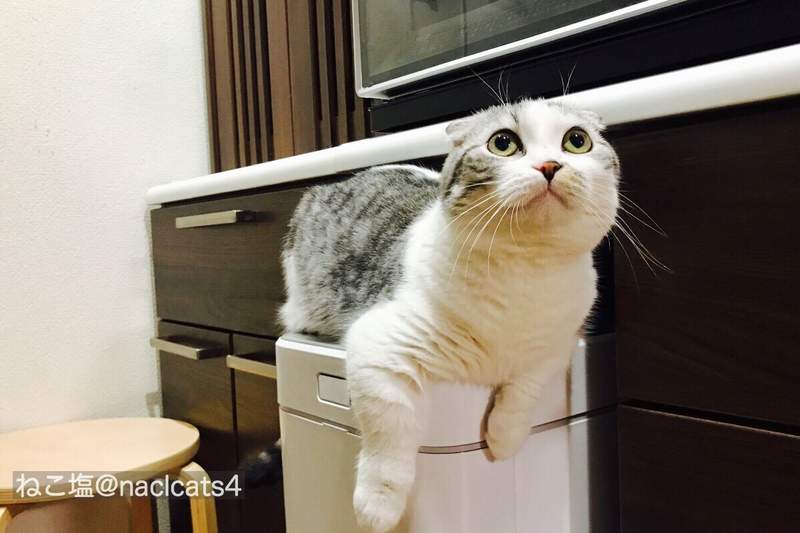 圖片5 圖片5