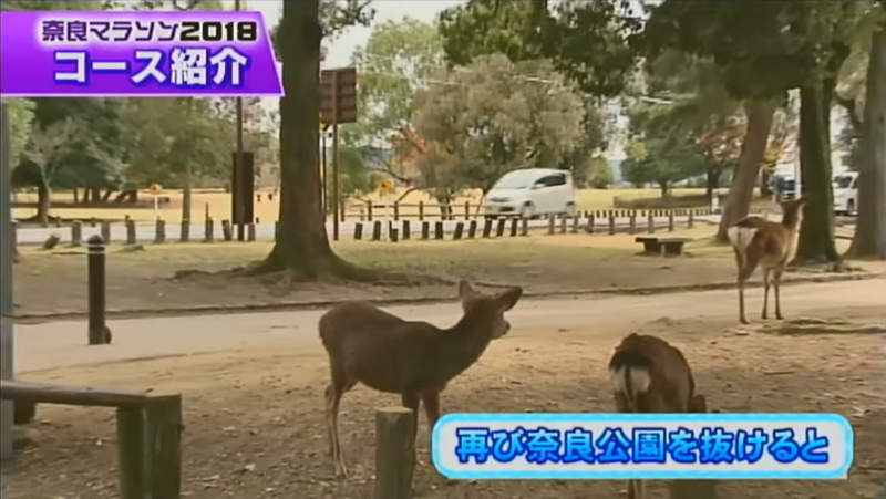 圖片4 圖片4