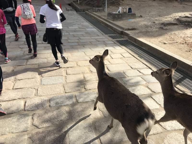 圖片10 圖片10