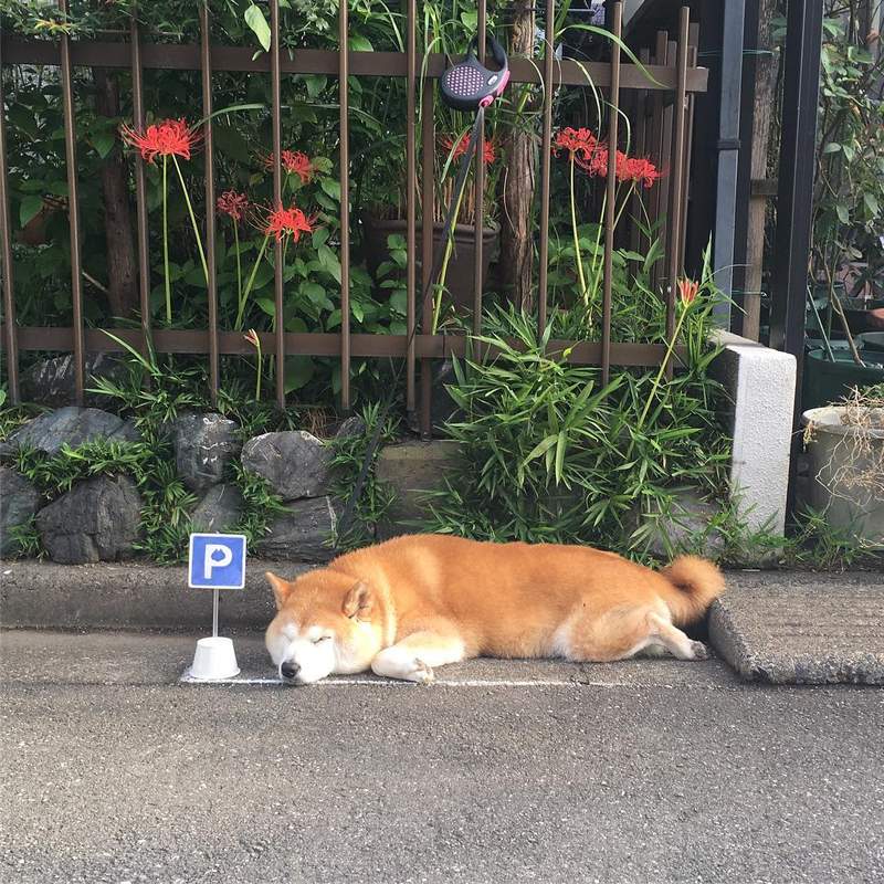 圖片4 圖片4