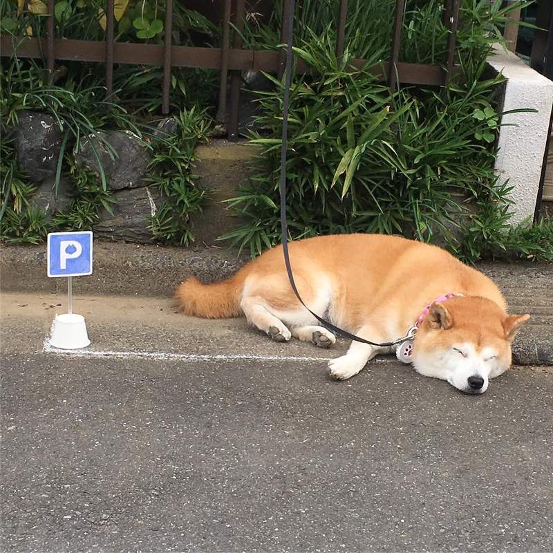圖片5 圖片5