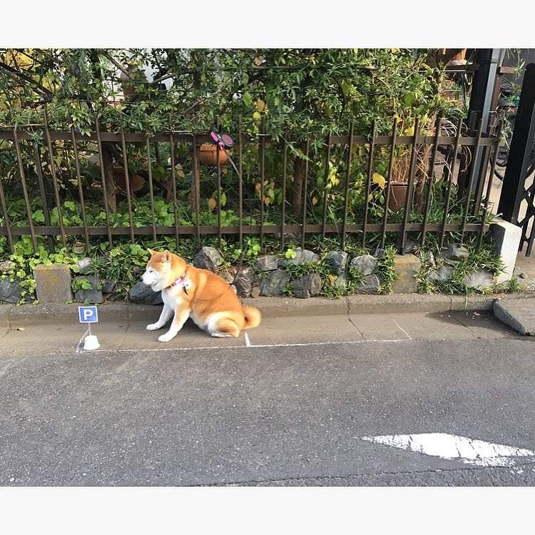 圖片7 圖片7