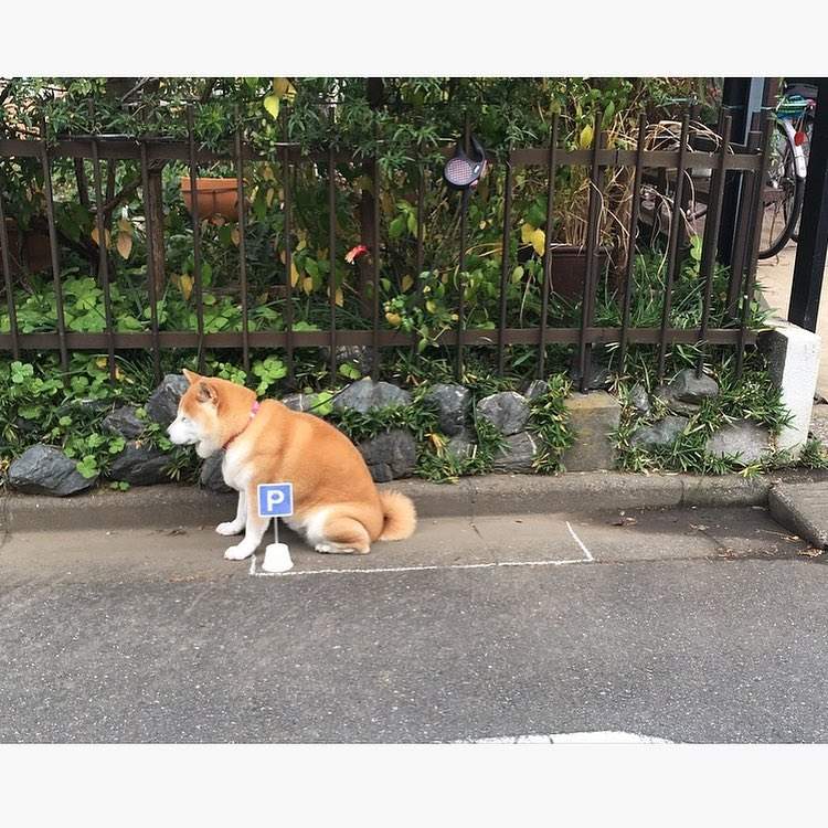 圖片6 圖片6