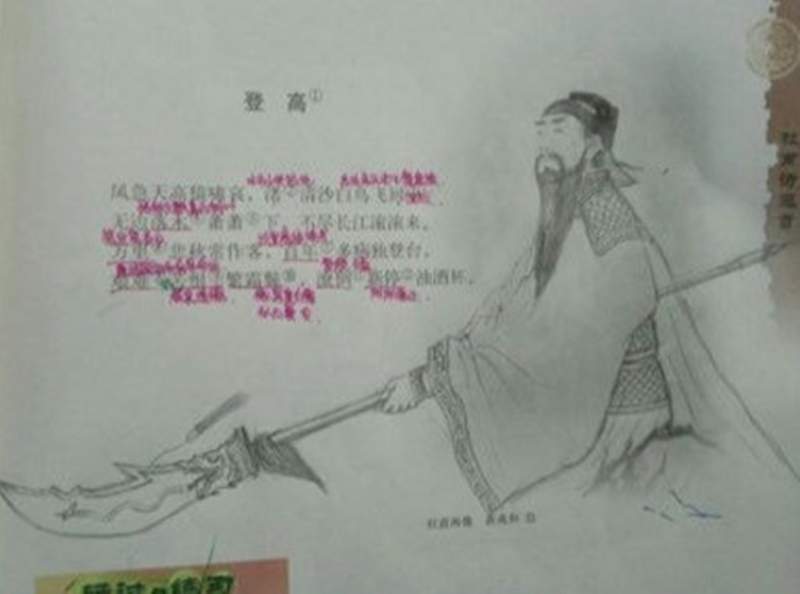 圖片13 圖片13