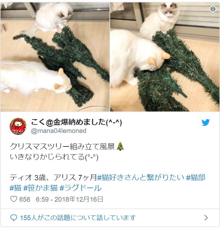 圖片13 圖片13