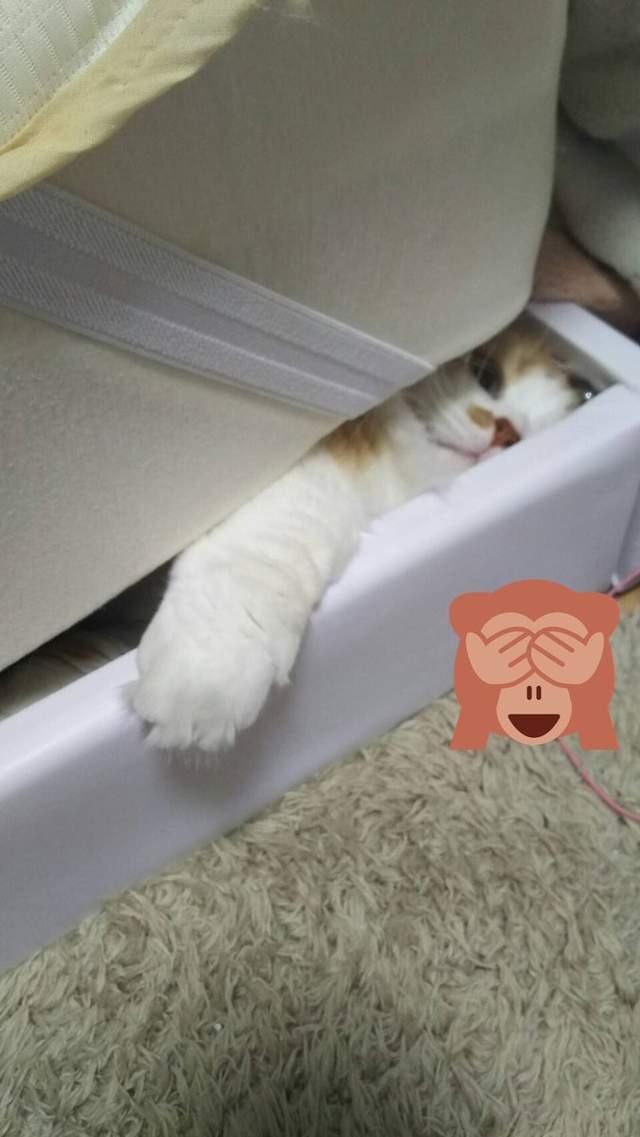 圖片5 圖片5