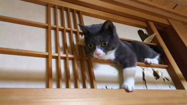 圖片9 圖片9