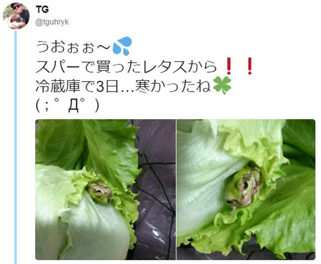 圖片5 圖片5