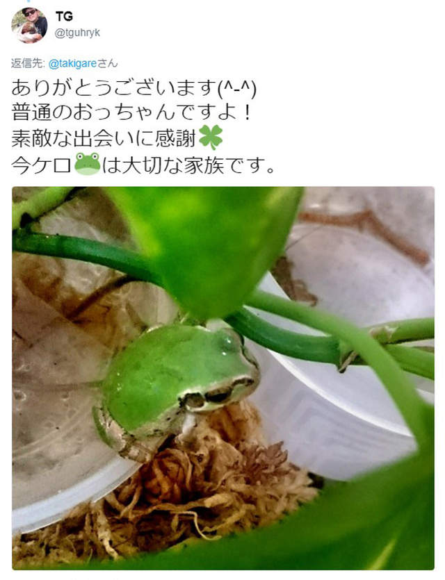 圖片7 圖片7