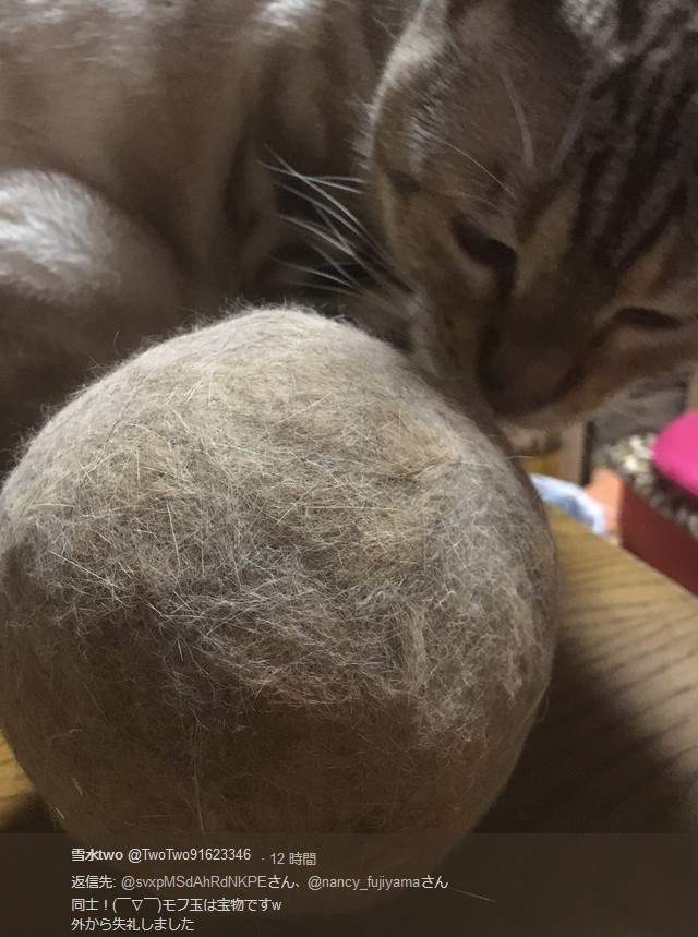 圖片12 圖片12