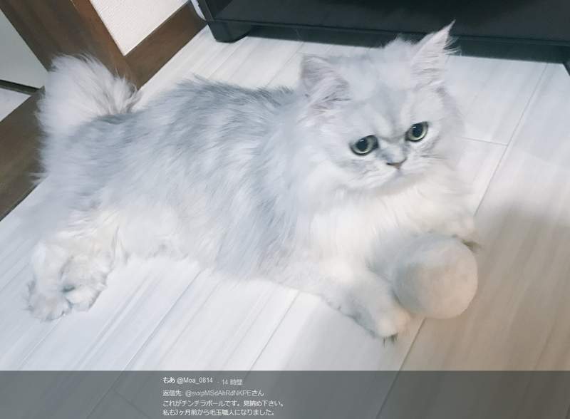 圖片8 圖片8