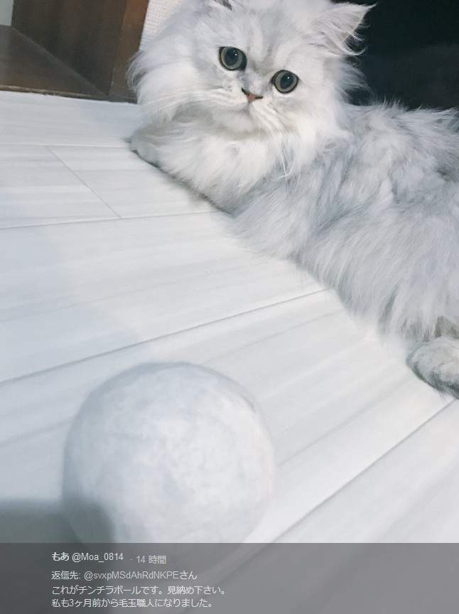 圖片9 圖片9