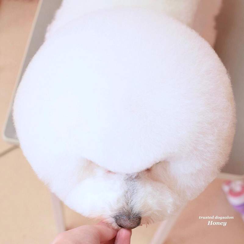 圖片6 圖片6