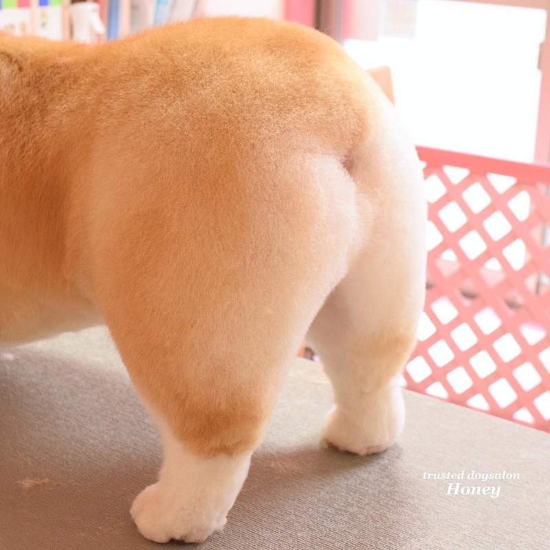 圖片9 圖片9
