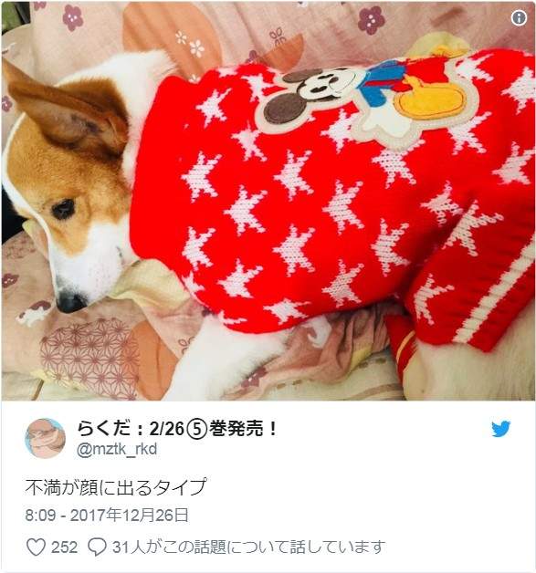 圖片4 圖片4