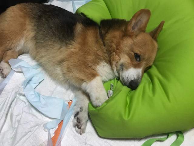 圖片5 圖片5