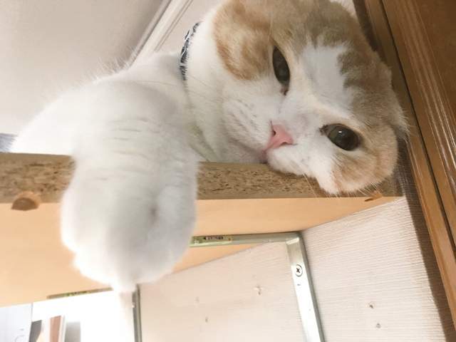 圖片6 圖片6