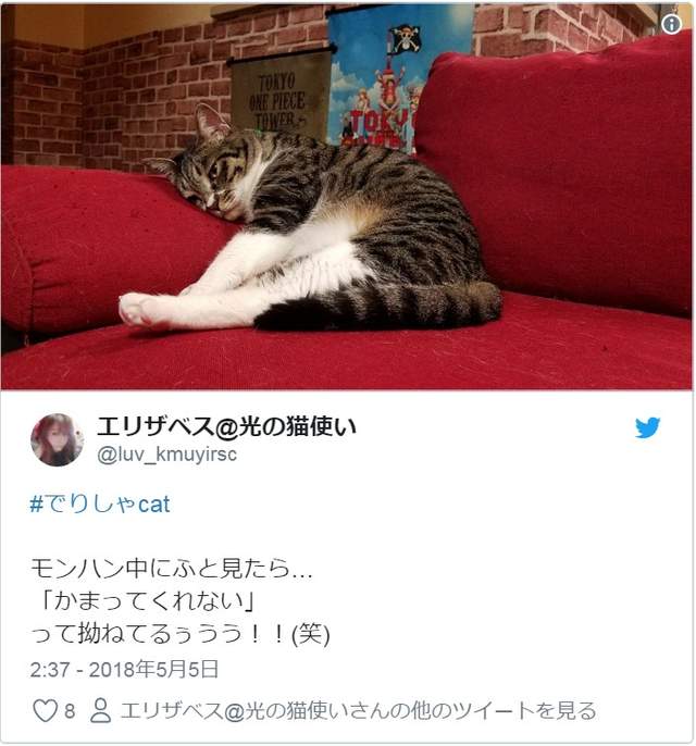 圖片8 圖片8
