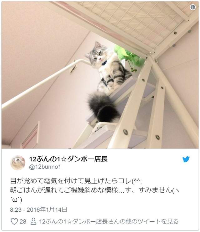 圖片10 圖片10