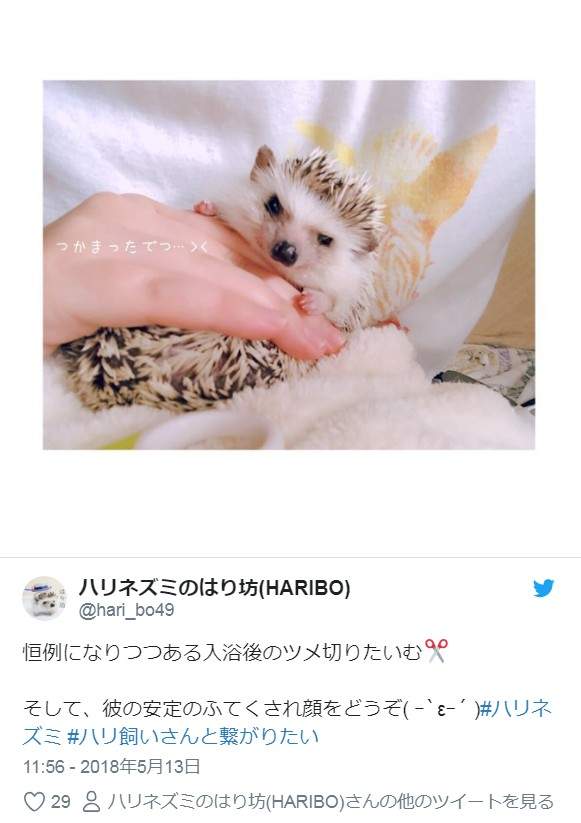 圖片14 圖片14