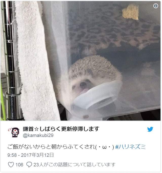 圖片13 圖片13