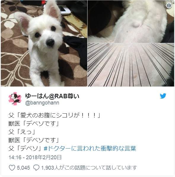 圖片11 圖片11