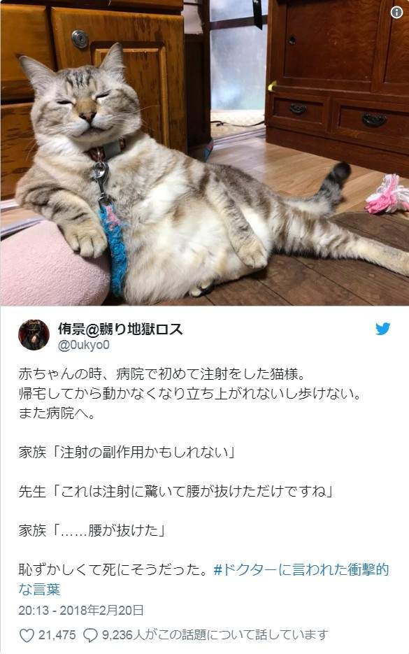圖片13 圖片13