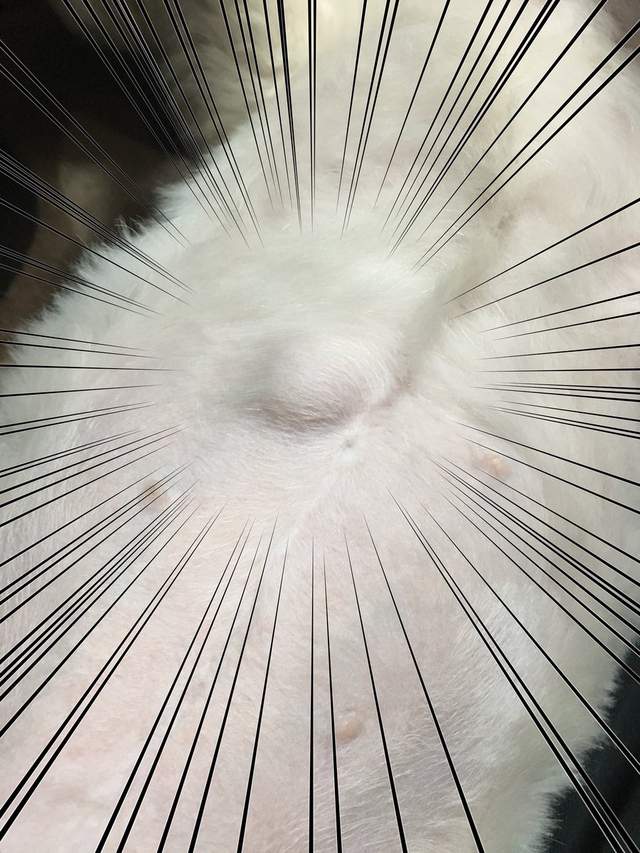 圖片12 圖片12