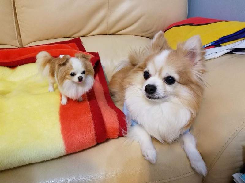 圖片9 圖片9