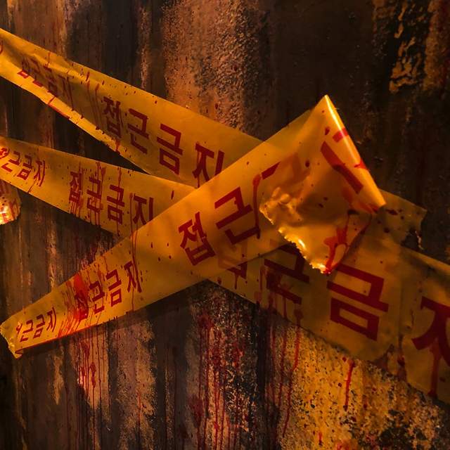 圖片11 圖片11
