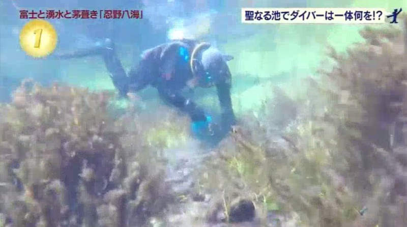 圖片7 圖片7