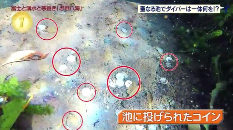 圖片8 圖片8