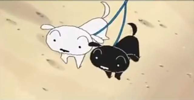 圖片7 圖片7