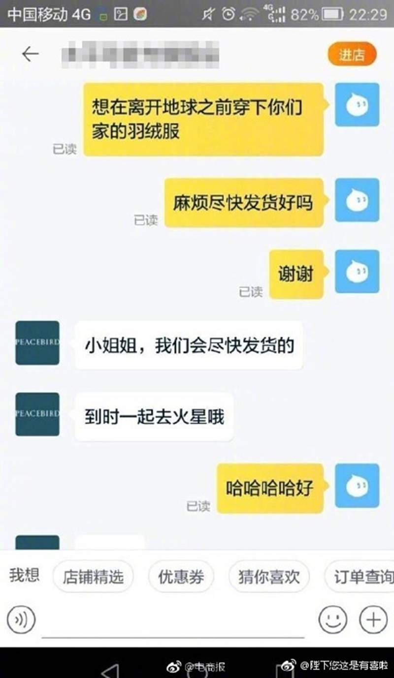 圖片13 圖片13