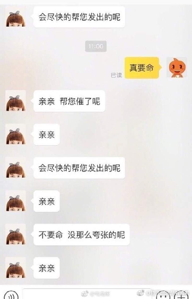 圖片14 圖片14
