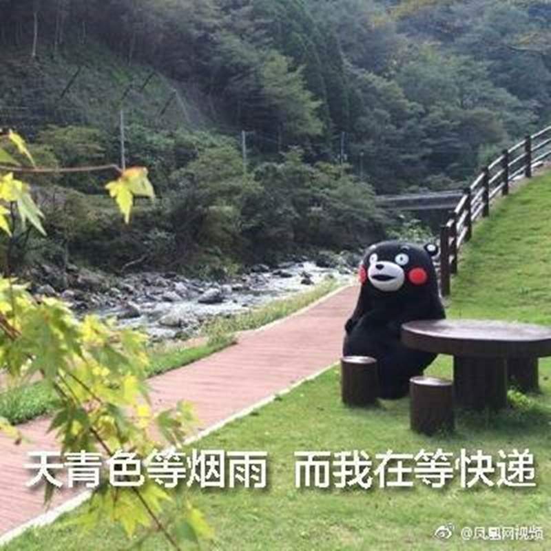 圖片18 圖片18